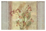 Peruvian Lily