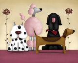 Variety