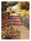 Garden Mediterraneo