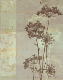 Silver Foliage I