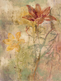 Botanica II