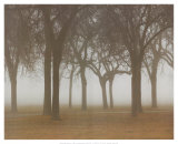 Early Morning