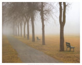 A Foggy Day