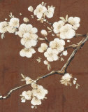 Night Blossoms II