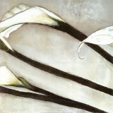 Brilliant Calla II