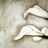 Brilliant Calla III