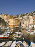 Camogli  Liguria  Italy  Mediterranean  Europe