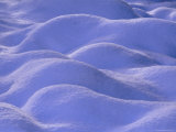 Snow Covering Heather  Scotland  UK  Europe
