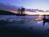 Winter Landscape  Loch Mallachie  Speyside  Scotland  UK  Europe