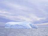 Iceberg Drifting off Antarctica  Polar Regions