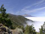 Mount Teide (Pico De Teide)  Tenerife  Canary Islands  Spain