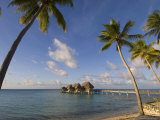 Pearl Beach Resort  Tikehau  Tuamotu Archipelago  French Polynesia  Pacific Islands  Pacific