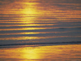 Golden Light on Ripples on the Sea Shore