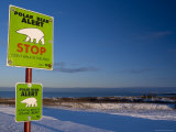 Sign  Polar Bear Alert at Hudson Bay  Churchill  Manitoba  Canada  North America