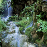 Tonto Falls  Tonto Park  Flagstaff  Arizona  United States of America (USA)  North America
