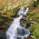 Birks of Aberfeldy  Tayside  Scotland  UK  Europe