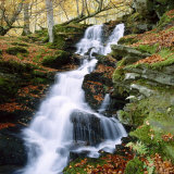 The Birks of Aberfeldy in Tayside  Scotland