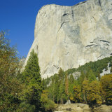 El Capitan  Yosemite National Park  California  USA