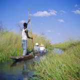 Okavango Delta  Botswana  Africa