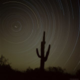 Star Trek Over Cacti  Tracing Stars as They Move Round North Star  Tucson  Arizona  USA