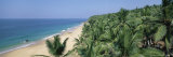Coconut Palms and Beach  Kovalam  Kerala State  India  Asia