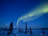 Northern Light  Aurora Borealis  Churchill  Manitoba  Canada