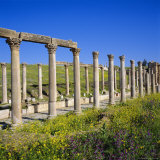 Cardo (Main Street) of the Roman Decapolis City  1st Century AD  Jerash  Jordan  Middle East
