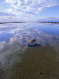 Reflection of Clouds in Water on Beach  Queen Charlotte Islands  British Columbia (BC)  Canada