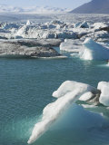 Icebergs in the Glacial Melt Water Lagoon at Jokulsarlon  Iceland  Polar Regions