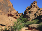 Petroglyphs Drawn in Sandstone by Anasazi Indians Around 500 Ad  Valley of Fire State Park  Nevada