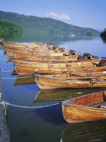 Rowing Boats and Lake Windermere  Cumbria  England