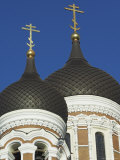 Domes of the Alexander Nevsky Cathedral  Russian Orthodox Church  Toompea Hill  Tallinn  Estonia