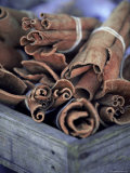 Cinnamon Sticks at the Market  Lesser Antilles  French West Indies
