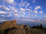 Rocks Covered with Lichen  Deer Park  Olympic National Park  Washington State  USA