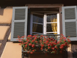 Close-Up of Typical Window with Blue Shutters and Windowbox Full of Geraniums  France