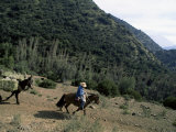 Man on Horse with Donkey and Hay  on the Outskirts of Santiago  Chile