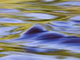 Golden Ripples in the Kettle River  Banning State Park  Minnesota