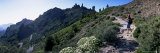 Trail to Roque Nublo  Gran Canaria  Canary Islands  Spain  Europe