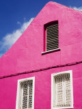 Pink Building on Republique Street  Fort-De-France  Martinique  French Antilles  West Indies