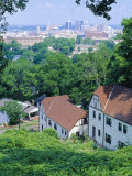 Houses Amid Trees and City Skyline in the Background  of Birmingham  Alabama  USA