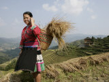 Woman of Yao Minority with Cellphone  Longsheng Terraced Ricefields  Guangxi Province  China
