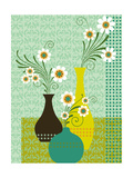 Damask Daisies