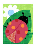 Fun Ladybug