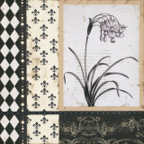 Argyle et Fleurs I