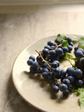 Grapes in the Afternoon