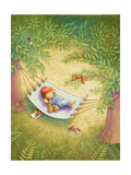 Summer Nap