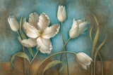 Tulip Melody