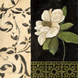 Negro y Blanco Simplicidad I