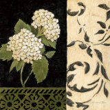 Negro y Blanco Simplicidad II