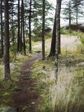 Afternoon Hike